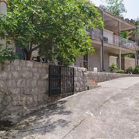 Nature Bay Apartment Kotor Exteriör bild